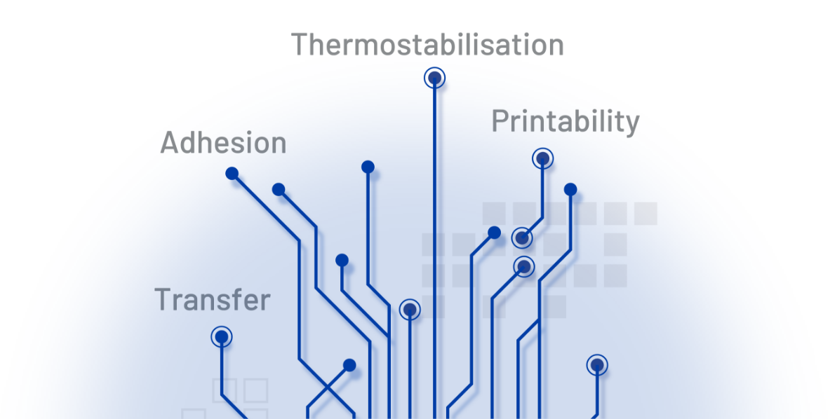 Home - Normandy Coating - A surface treatment tailored to your needs